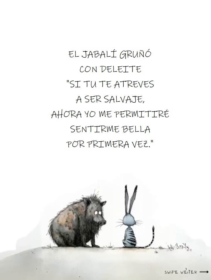 Schwein und Hase 10C