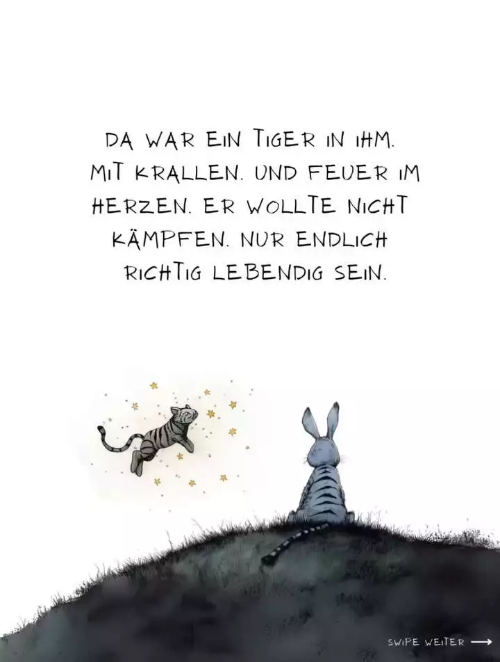 Schwein und Hase 4